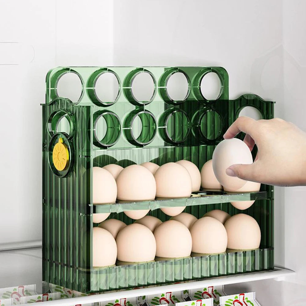 ORGANIZADOR DE HUEVOS